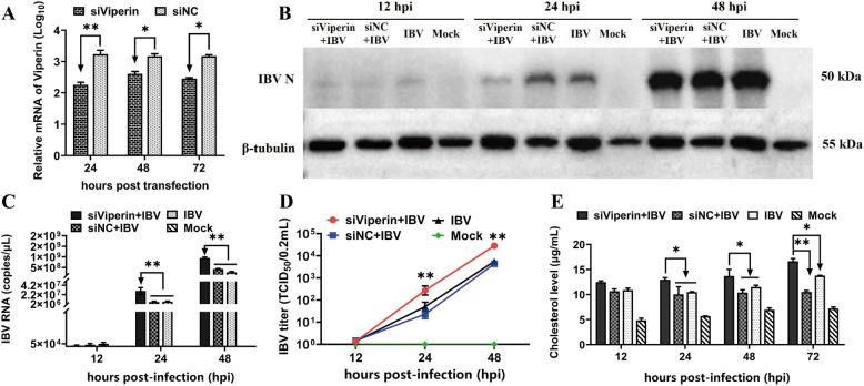 https://cdn.ncbi.nlm.nih.gov/pmc/blobs/38d8/11429478/e58d60cf2518/13567_2024_1368_Fig6_HTML.jpg