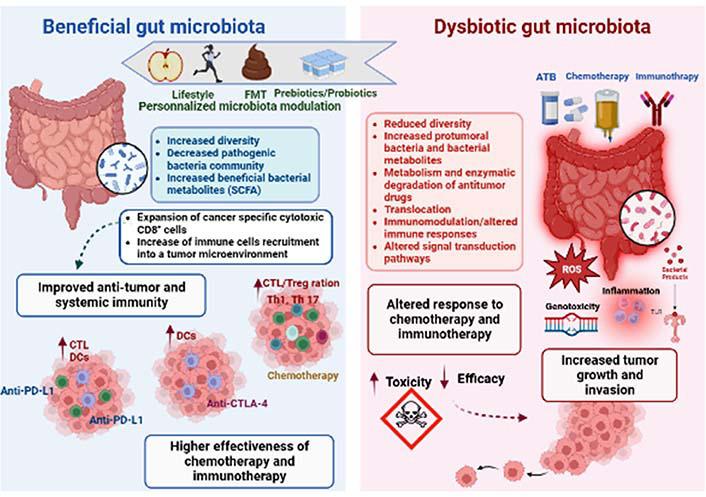 https://cdn.ncbi.nlm.nih.gov/pmc/blobs/38d9/10185446/a0f3a4cd45a3/etat-04-1002132-g002.jpg