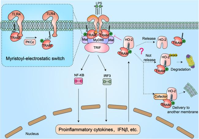 https://cdn.ncbi.nlm.nih.gov/pmc/blobs/38da/7966921/fd2e999e5b3d/41423_2021_663_Fig3_HTML.jpg