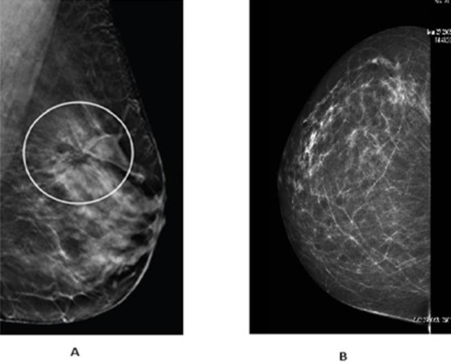 https://cdn.ncbi.nlm.nih.gov/pmc/blobs/38dd/11239011/45edec92e1bf/pone.0304757.g001.jpg