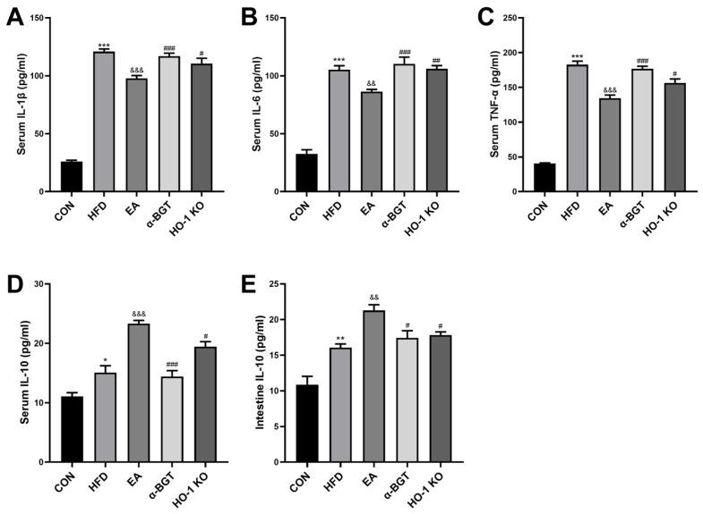 https://cdn.ncbi.nlm.nih.gov/pmc/blobs/38dd/12024594/356d33e830e3/biomedicines-13-00802-g004.jpg