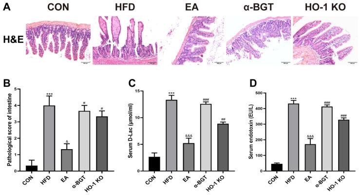 https://cdn.ncbi.nlm.nih.gov/pmc/blobs/38dd/12024594/88598667d323/biomedicines-13-00802-g005.jpg