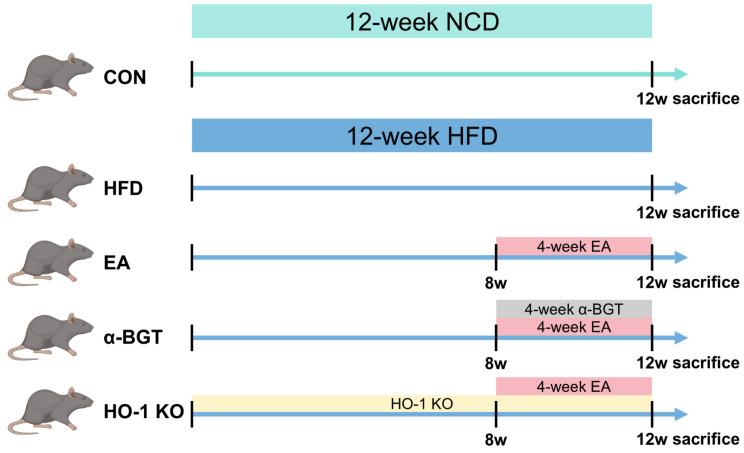 https://cdn.ncbi.nlm.nih.gov/pmc/blobs/38dd/12024594/add0fc4dfd8d/biomedicines-13-00802-g001.jpg
