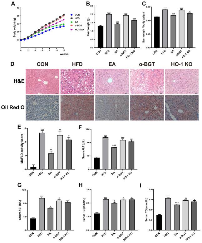 https://cdn.ncbi.nlm.nih.gov/pmc/blobs/38dd/12024594/e3613e9caf87/biomedicines-13-00802-g002.jpg