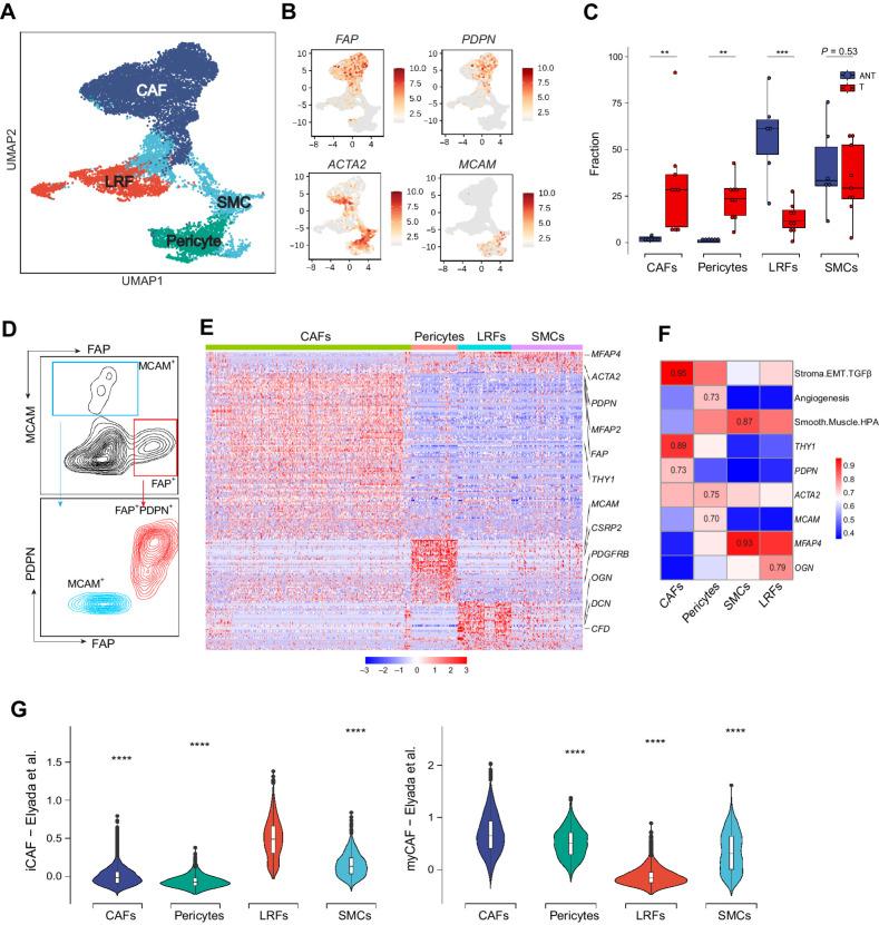 https://cdn.ncbi.nlm.nih.gov/pmc/blobs/38de/11063690/e2326f73096b/1410fig2.jpg