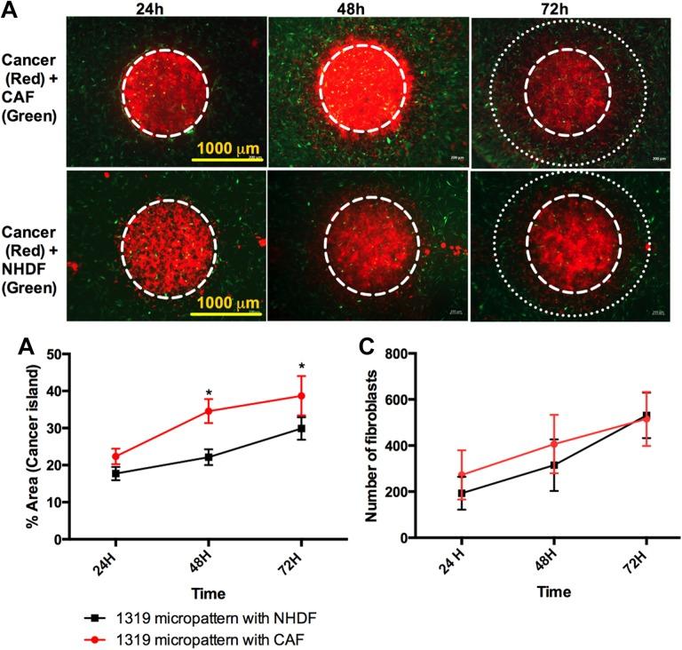 https://cdn.ncbi.nlm.nih.gov/pmc/blobs/38de/6201185/3cb285738721/10.1177_1533033818803632-fig4.jpg