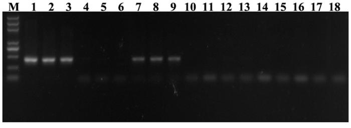 https://cdn.ncbi.nlm.nih.gov/pmc/blobs/38e0/5124967/2827997e8ab2/srep37806-f6.jpg