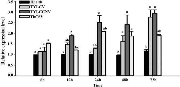 https://cdn.ncbi.nlm.nih.gov/pmc/blobs/38e0/5124967/bd43311310fb/srep37806-f5.jpg