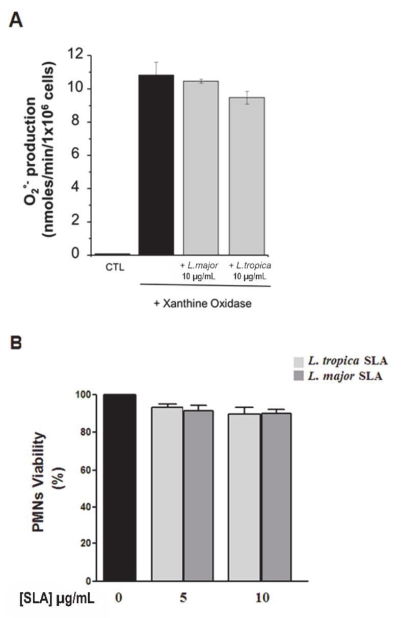 https://cdn.ncbi.nlm.nih.gov/pmc/blobs/38e3/8151549/93b4b5235a4d/microorganisms-09-01025-g004.jpg