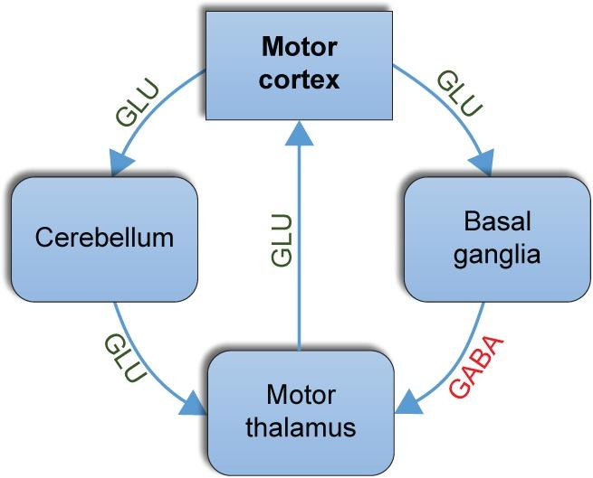 https://cdn.ncbi.nlm.nih.gov/pmc/blobs/38e4/5106224/1ed220791f28/ndt-12-2885Fig2.jpg