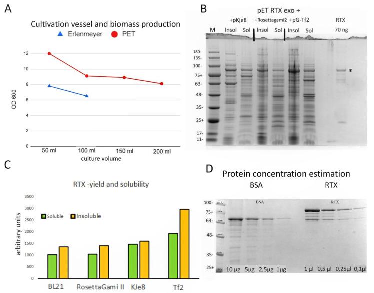 https://cdn.ncbi.nlm.nih.gov/pmc/blobs/38e4/8924886/d3ebdf199f36/viruses-14-00298-g001.jpg