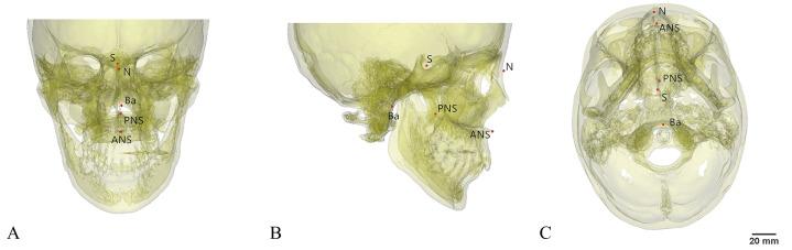 https://cdn.ncbi.nlm.nih.gov/pmc/blobs/38e6/12312901/8167f338d10a/pone.0329322.g001.jpg
