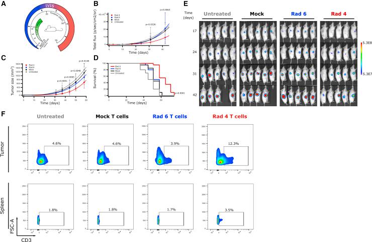 https://cdn.ncbi.nlm.nih.gov/pmc/blobs/38ea/7934585/24e2e1d7c875/gr5.jpg