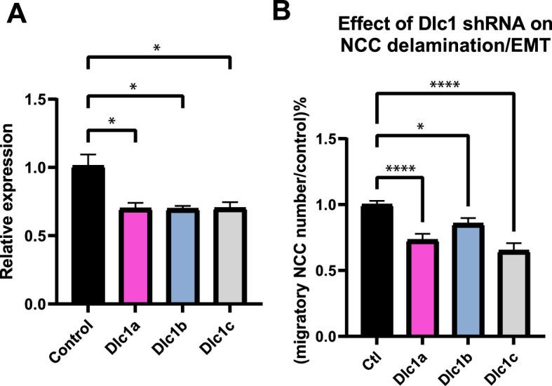 https://cdn.ncbi.nlm.nih.gov/pmc/blobs/38f0/11178358/234a70fe0fbd/elife-92844-fig6-figsupp1.jpg