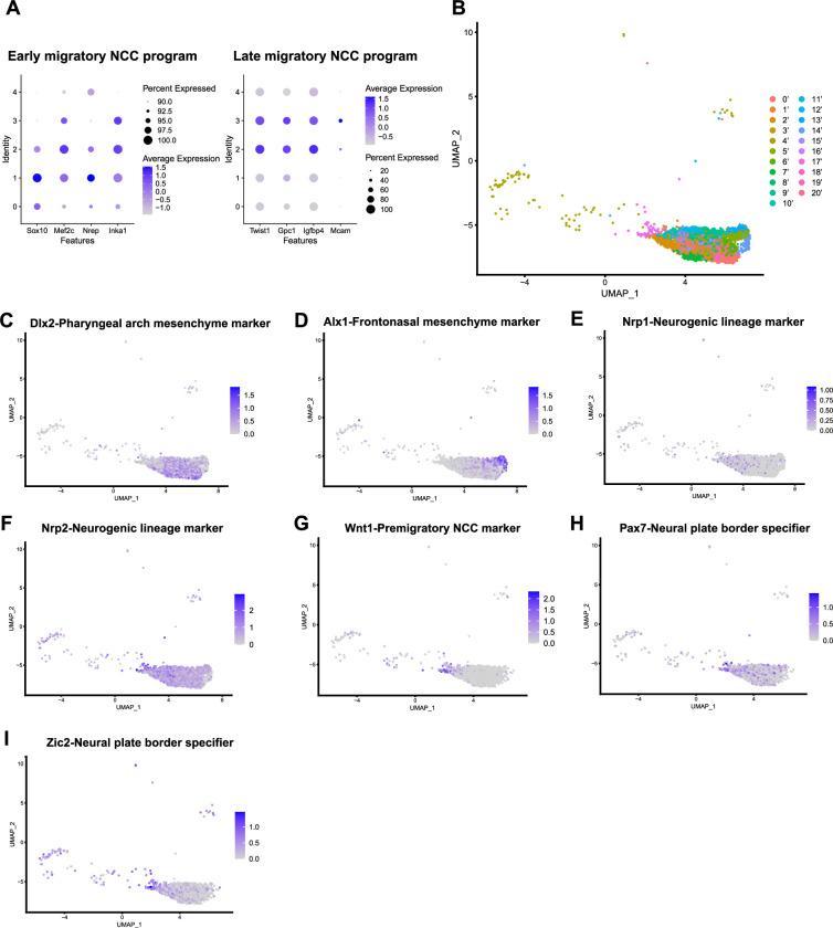 https://cdn.ncbi.nlm.nih.gov/pmc/blobs/38f0/11178358/3a48bc963e16/elife-92844-fig2-figsupp1.jpg