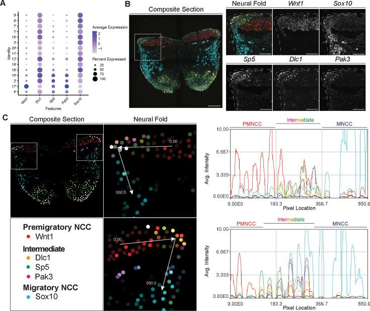 https://cdn.ncbi.nlm.nih.gov/pmc/blobs/38f0/11178358/41baf72a27c9/elife-92844-fig5.jpg