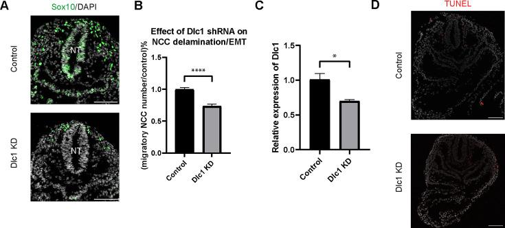 https://cdn.ncbi.nlm.nih.gov/pmc/blobs/38f0/11178358/840c30c944dd/elife-92844-fig6.jpg