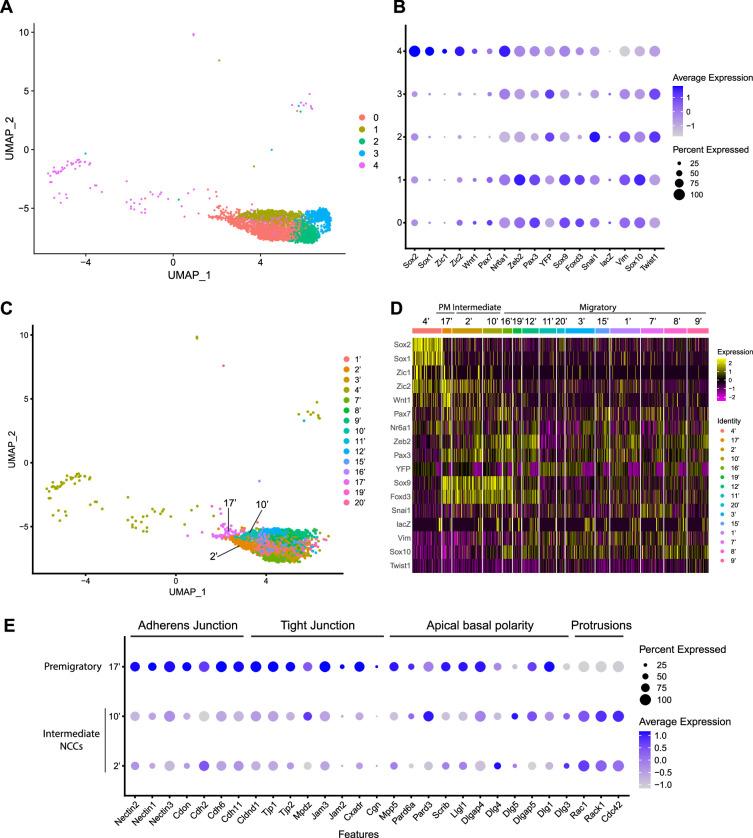https://cdn.ncbi.nlm.nih.gov/pmc/blobs/38f0/11178358/fd0d4b16de7b/elife-92844-fig2.jpg