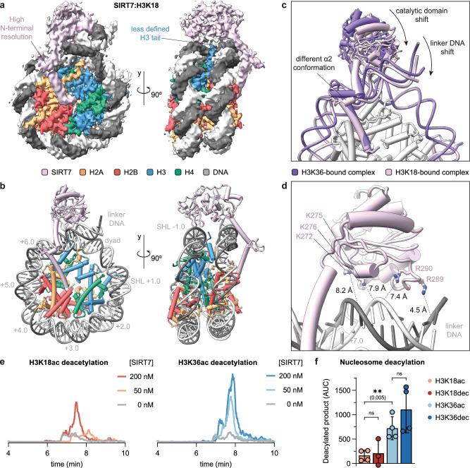 https://cdn.ncbi.nlm.nih.gov/pmc/blobs/38f3/11790868/36ce5b6f59a4/41467_2025_56529_Fig3_HTML.jpg