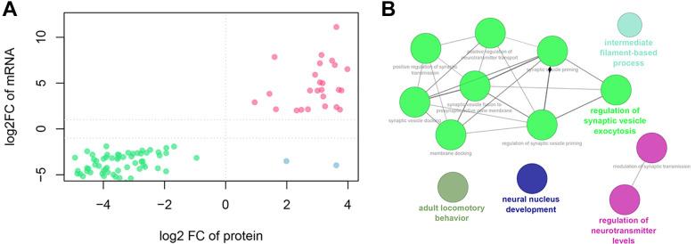 https://cdn.ncbi.nlm.nih.gov/pmc/blobs/38f4/9102128/6e0eece41fe0/10.1177_15330338211035270-fig6.jpg