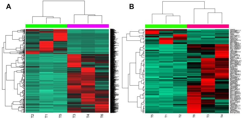 https://cdn.ncbi.nlm.nih.gov/pmc/blobs/38f4/9102128/af06d032581a/10.1177_15330338211035270-fig1.jpg