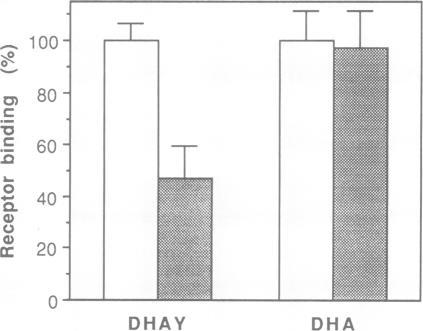 https://cdn.ncbi.nlm.nih.gov/pmc/blobs/38f5/453108/6835761b2590/emboj00110-0174-a.jpg