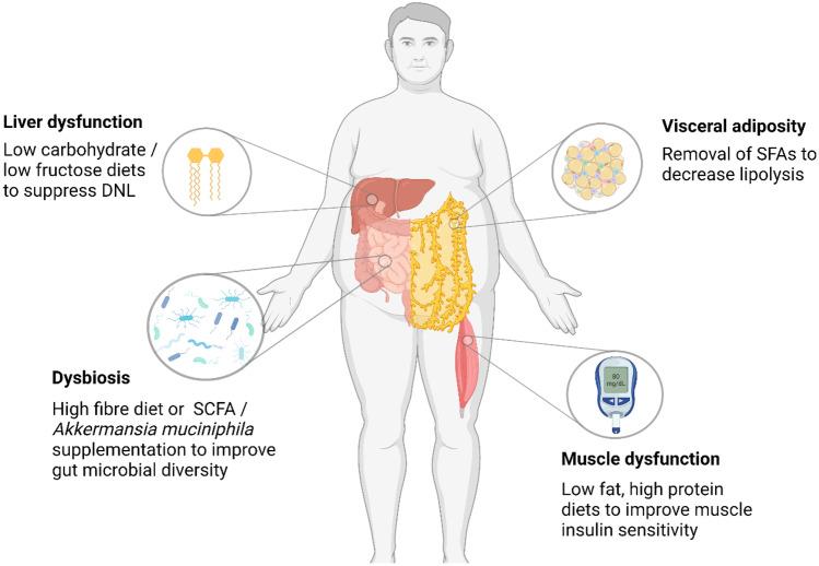 https://cdn.ncbi.nlm.nih.gov/pmc/blobs/38f9/10492734/54a46b9a8774/11154_2023_9821_Fig1_HTML.jpg
