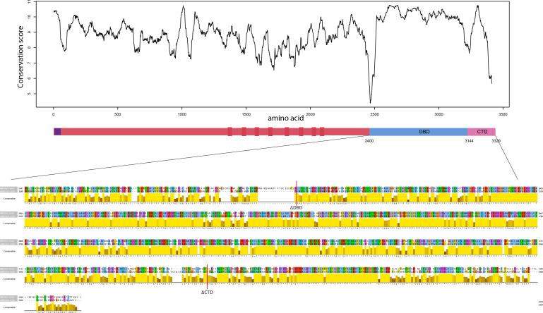 https://cdn.ncbi.nlm.nih.gov/pmc/blobs/38f9/8324294/512b8f8b1a94/elife-67926-fig1-figsupp3.jpg