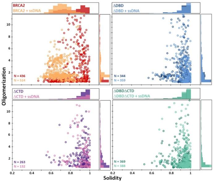 https://cdn.ncbi.nlm.nih.gov/pmc/blobs/38f9/8324294/524f4f1e22db/elife-67926-fig5-figsupp2.jpg