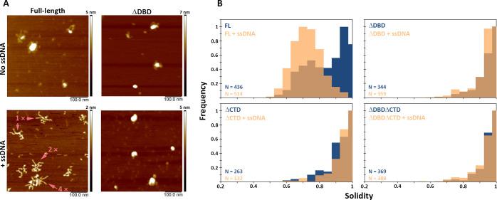 https://cdn.ncbi.nlm.nih.gov/pmc/blobs/38f9/8324294/85adbcca7b0a/elife-67926-fig5.jpg