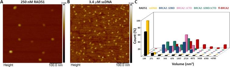 https://cdn.ncbi.nlm.nih.gov/pmc/blobs/38f9/8324294/c8fddd365a48/elife-67926-fig4-figsupp3.jpg