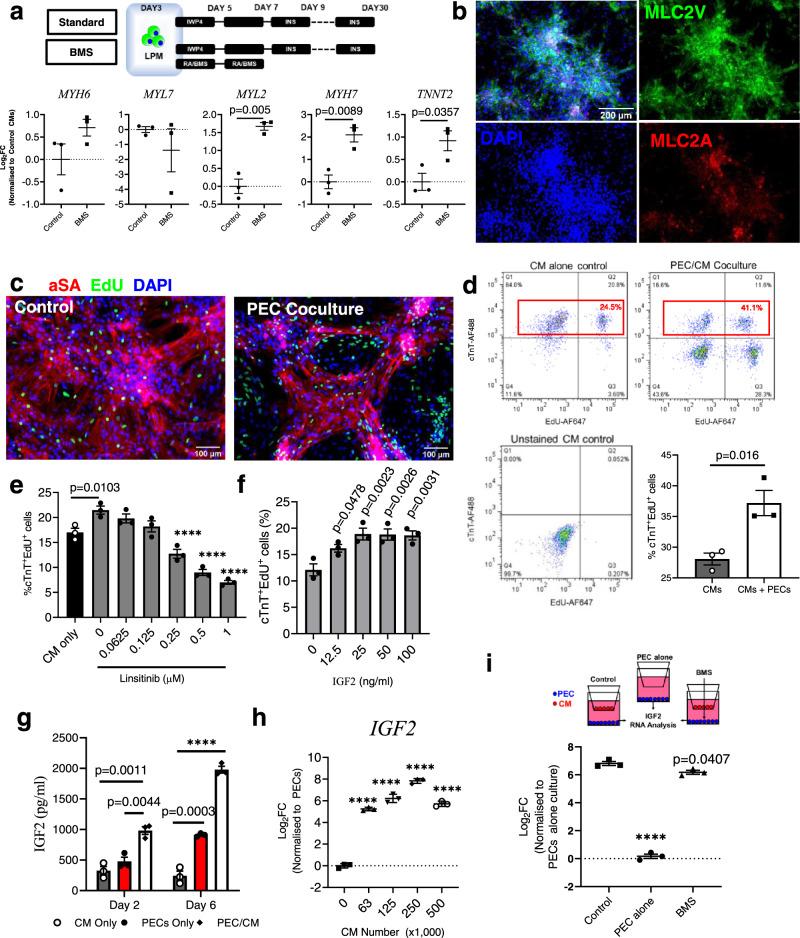 https://cdn.ncbi.nlm.nih.gov/pmc/blobs/38fa/8370973/28a4a10a5fa1/41467_2021_24921_Fig6_HTML.jpg