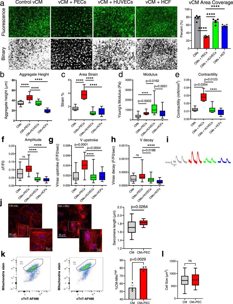 https://cdn.ncbi.nlm.nih.gov/pmc/blobs/38fa/8370973/ac4c409b9673/41467_2021_24921_Fig5_HTML.jpg