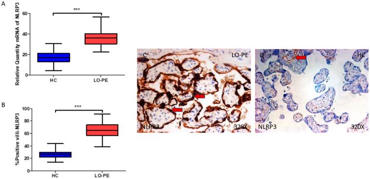 https://cdn.ncbi.nlm.nih.gov/pmc/blobs/38fc/10669618/3be439476bf9/biomolecules-13-01644-g001.jpg