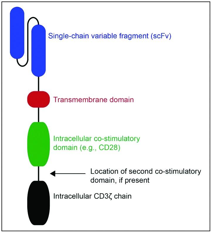 https://cdn.ncbi.nlm.nih.gov/pmc/blobs/38fc/5810622/52c59905ce5e/dic-7-212520-g002.jpg