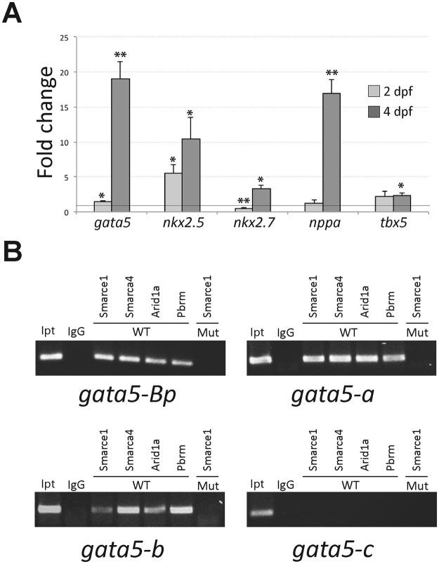 https://cdn.ncbi.nlm.nih.gov/pmc/blobs/38ff/6194089/34201aa08015/41598_2018_33746_Fig6_HTML.jpg