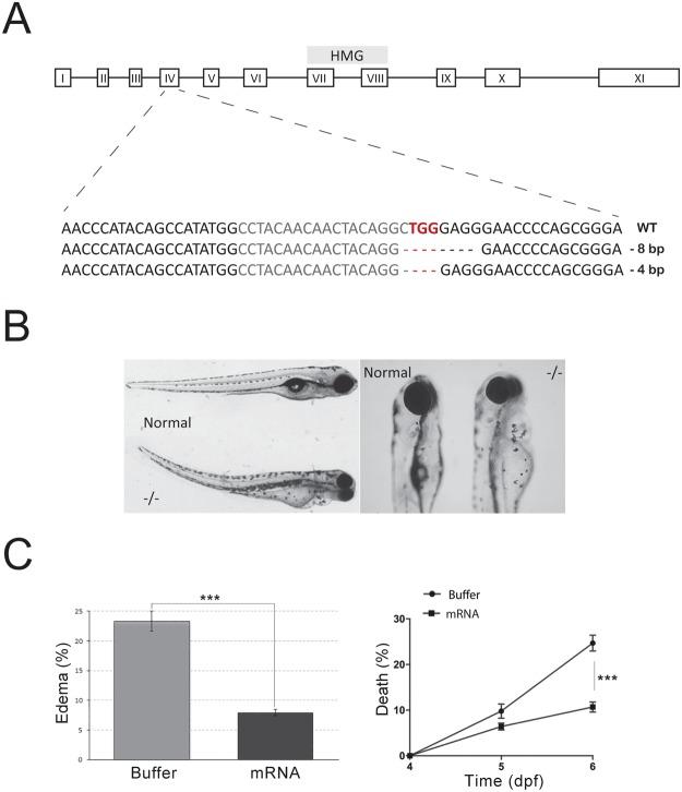 https://cdn.ncbi.nlm.nih.gov/pmc/blobs/38ff/6194089/5819bbb613bb/41598_2018_33746_Fig1_HTML.jpg