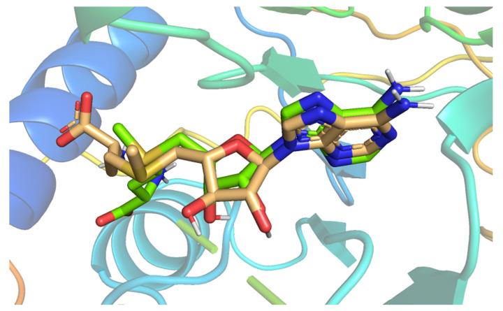 https://cdn.ncbi.nlm.nih.gov/pmc/blobs/38ff/8539059/7ae74e32dcfc/molecules-26-06151-g004.jpg