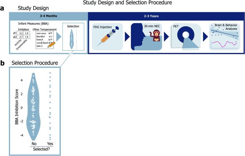 https://cdn.ncbi.nlm.nih.gov/pmc/blobs/3901/10943234/35f03780e746/41398_2024_2858_Fig1_HTML.jpg