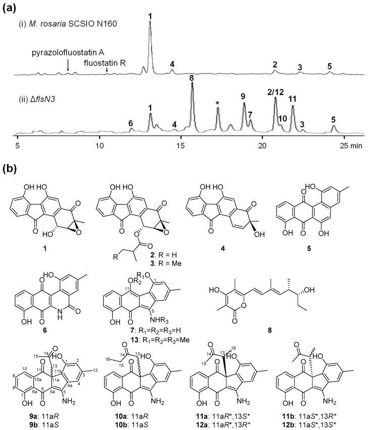 https://cdn.ncbi.nlm.nih.gov/pmc/blobs/3901/6470958/fa7e5fd7a2eb/marinedrugs-17-00150-g002.jpg