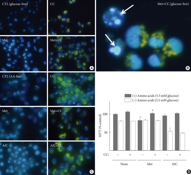 https://cdn.ncbi.nlm.nih.gov/pmc/blobs/3902/4696989/3a56f4f9cfce/dmj-39-518-g002.jpg