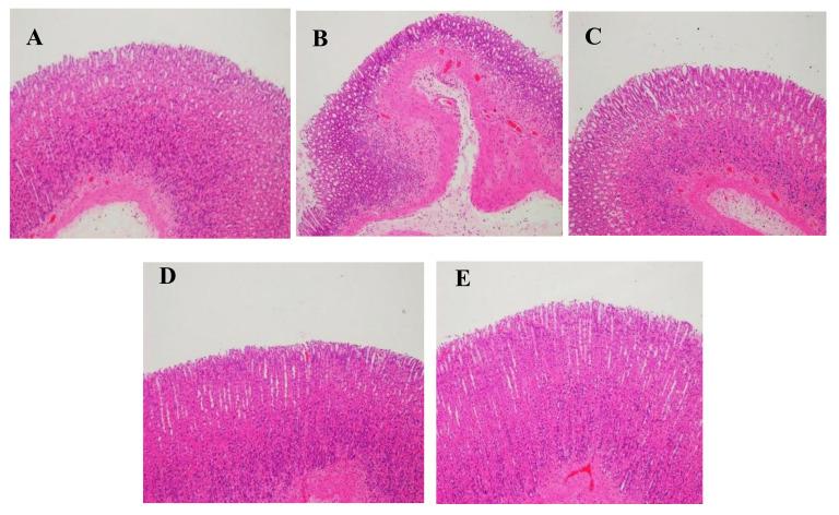 https://cdn.ncbi.nlm.nih.gov/pmc/blobs/3902/8839576/b497ef221dab/molecules-27-00724-g011.jpg