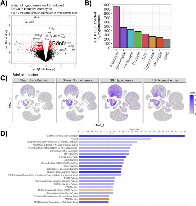https://cdn.ncbi.nlm.nih.gov/pmc/blobs/3903/12007139/37e8ec899a26/12974_2025_3430_Fig6_HTML.jpg