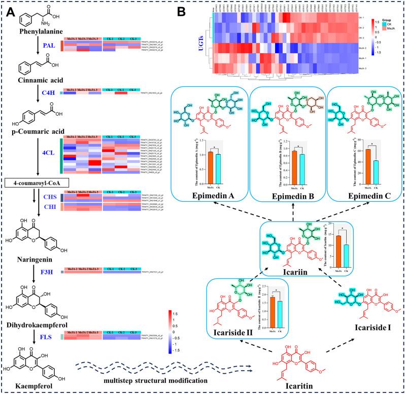 https://cdn.ncbi.nlm.nih.gov/pmc/blobs/3904/11670378/46654e6f80db/12870_2024_5966_Fig5_HTML.jpg