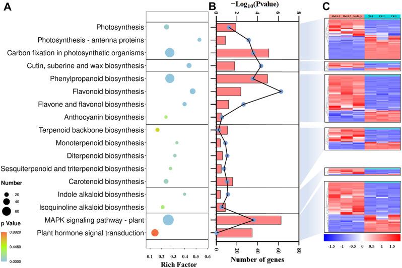 https://cdn.ncbi.nlm.nih.gov/pmc/blobs/3904/11670378/b9b8234ade3f/12870_2024_5966_Fig4_HTML.jpg