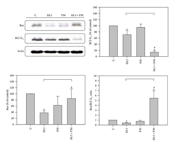 https://cdn.ncbi.nlm.nih.gov/pmc/blobs/3904/4055367/c5321f8c70c6/TSWJ2014-567148.003.jpg