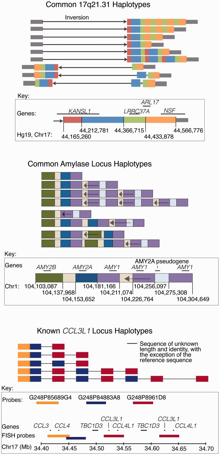 https://cdn.ncbi.nlm.nih.gov/pmc/blobs/3905/4576757/832eb86b375e/elv028f2p.jpg