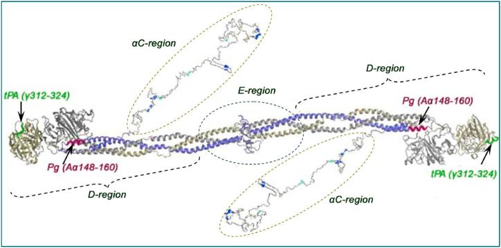 https://cdn.ncbi.nlm.nih.gov/pmc/blobs/3906/11648866/a89d56d796f5/gr1.jpg