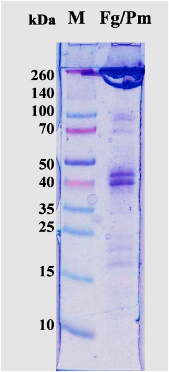 https://cdn.ncbi.nlm.nih.gov/pmc/blobs/3906/11648866/f0c6c89ab06b/gr2.jpg