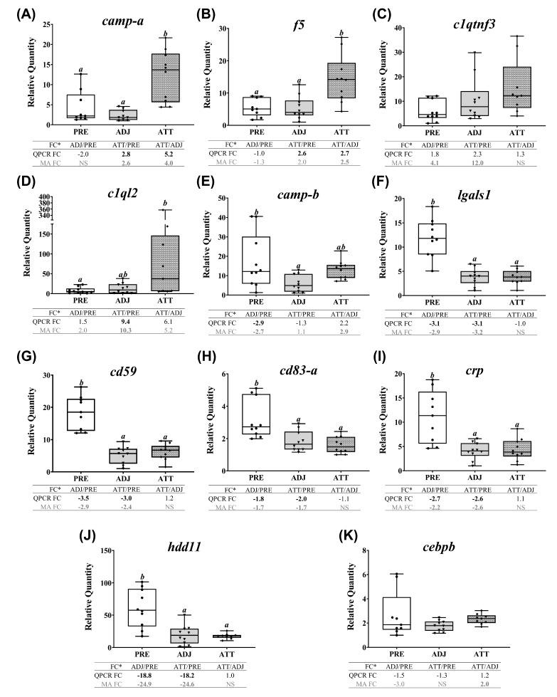 https://cdn.ncbi.nlm.nih.gov/pmc/blobs/3907/7177938/37437b07d160/ijms-21-02417-g008.jpg